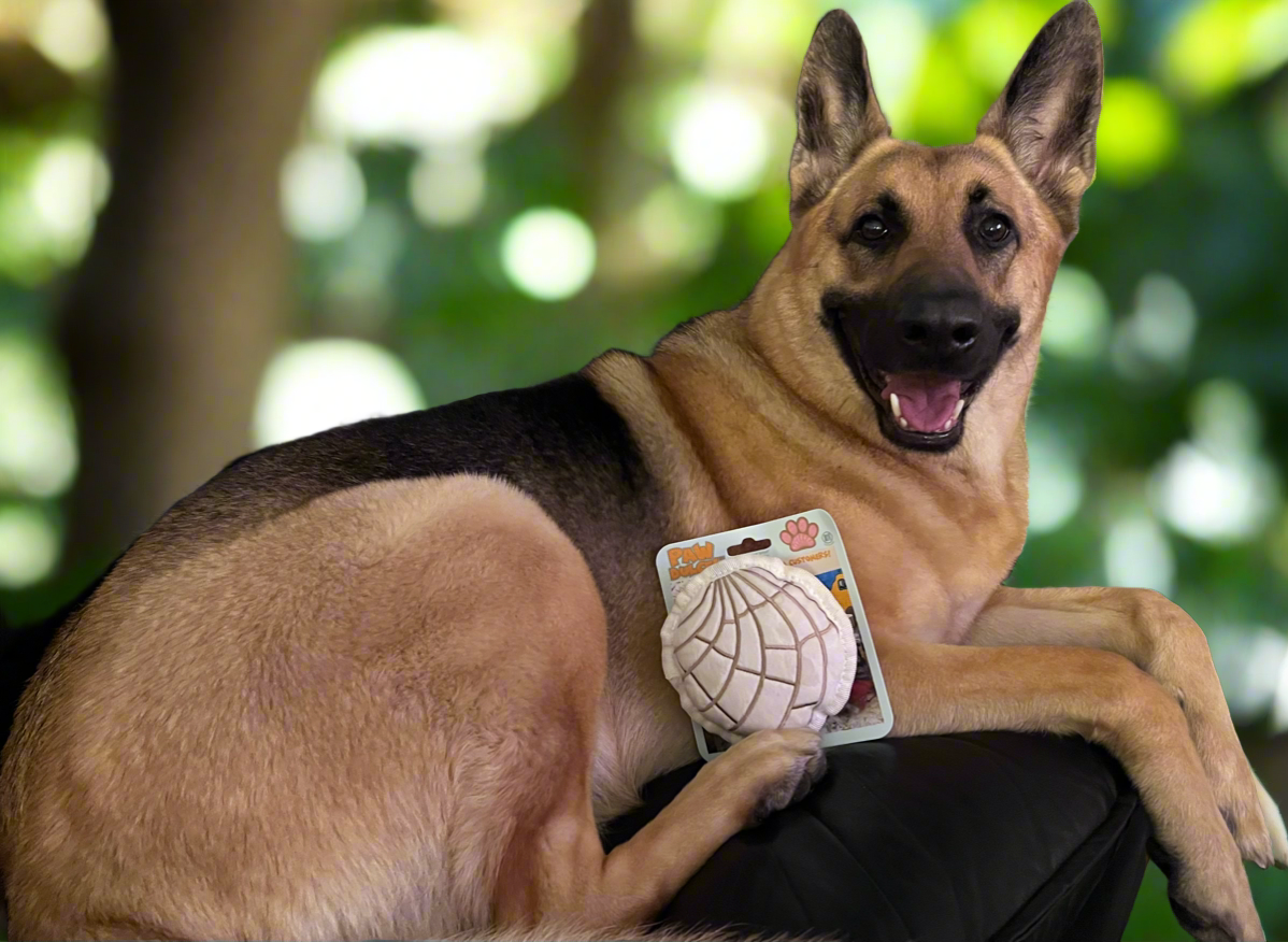 Pan dulce dog toy